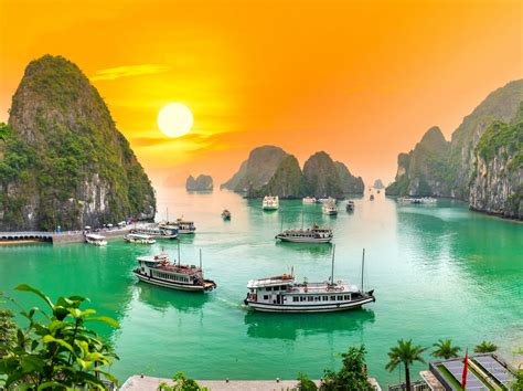 Vietnam .